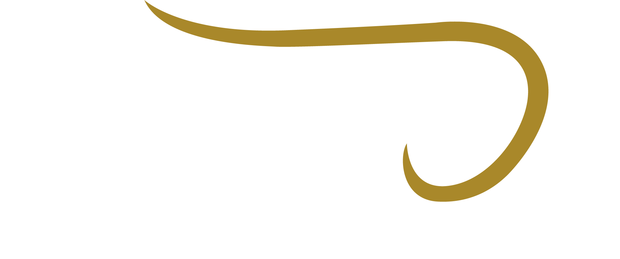 Never Give Up On Your Dream